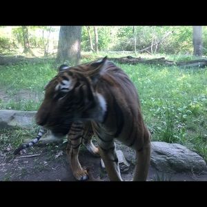 Meet your Posher, Hassan